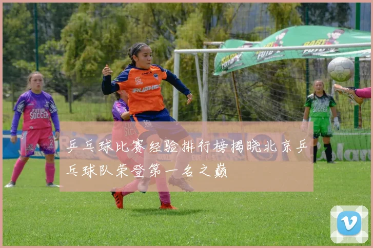 乒乓球比赛经验排行榜揭晓北京乒乓球队荣登第一名之巅