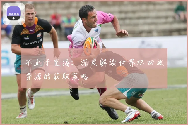 不止于直播：深度解读世界杯回放资源的获取策略